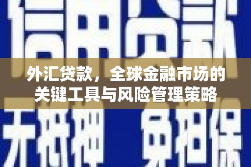 蒙阴外汇贷款，全球金融市场的关键工具与风险管理策略