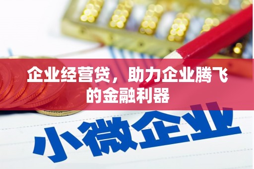 蒙阴企业经营贷，助力企业腾飞的金融利器