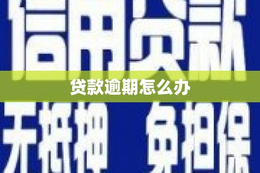 蒙阴贷款逾期怎么办