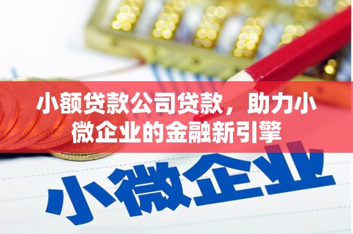 蒙阴小额贷款公司贷款，助力小微企业的金融新引擎