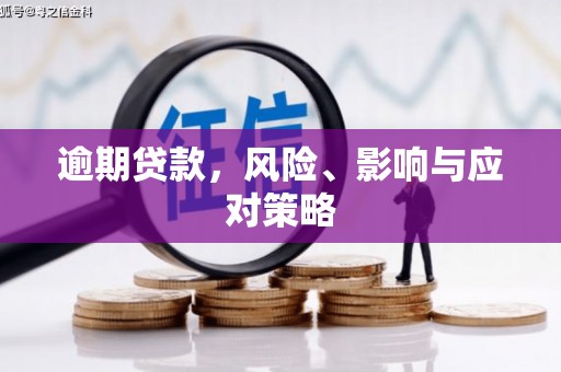 蒙阴逾期贷款，风险、影响与应对策略