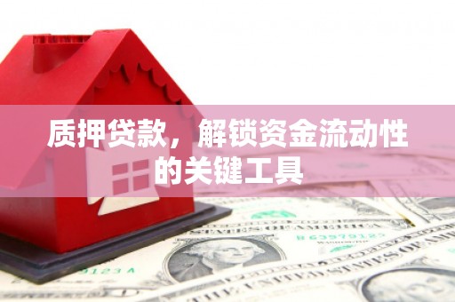 蒙阴质押贷款，解锁资金流动性的关键工具