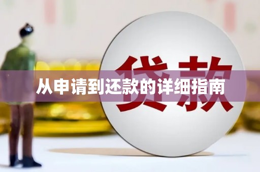 蒙阴从申请到还款的详细指南