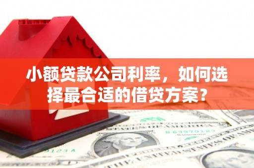 蒙阴小额贷款公司利率，如何选择最合适的借贷方案？