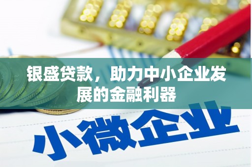 蒙阴银盛贷款，助力中小企业发展的金融利器