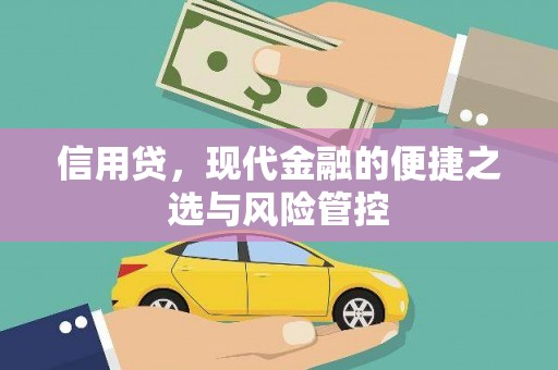 蒙阴信用贷，现代金融的便捷之选与风险管控