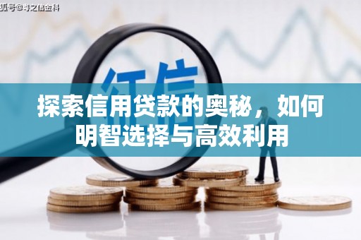 蒙阴探索信用贷款的奥秘，如何明智选择与高效利用