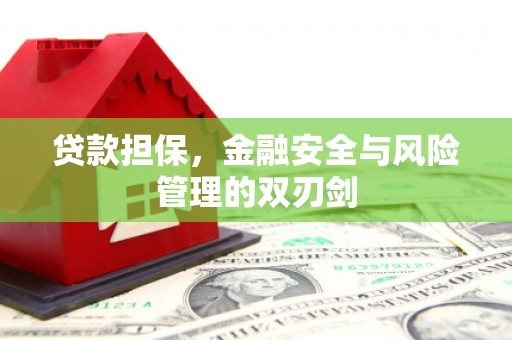 蒙阴贷款担保，金融安全与风险管理的双刃剑