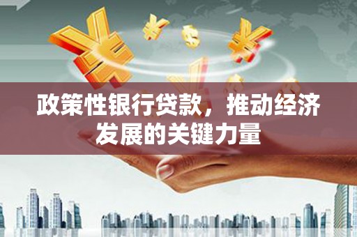 蒙阴政策性银行贷款，推动经济发展的关键力量