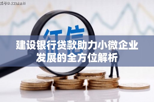 蒙阴建设银行贷款助力小微企业发展的全方位解析