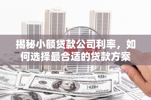 蒙阴揭秘小额贷款公司利率，如何选择最合适的贷款方案