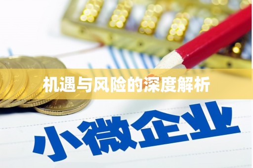 蒙阴机遇与风险的深度解析