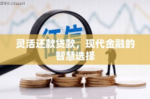 蒙阴灵活还款贷款，现代金融的智慧选择