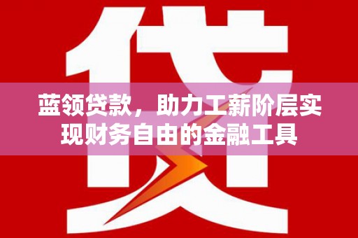 蒙阴蓝领贷款，助力工薪阶层实现财务自由的金融工具