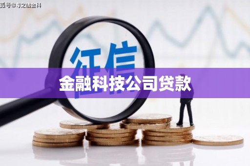 蒙阴金融科技公司贷款