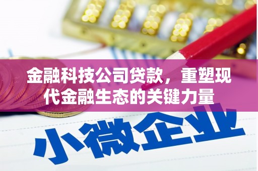 蒙阴金融科技公司贷款，重塑现代金融生态的关键力量