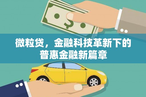 蒙阴微粒贷，金融科技革新下的普惠金融新篇章