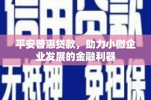 蒙阴平安普惠贷款，助力小微企业发展的金融利器
