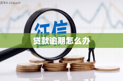 蒙阴贷款逾期怎么办