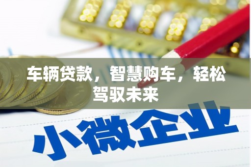 蒙阴车辆贷款，智慧购车，轻松驾驭未来