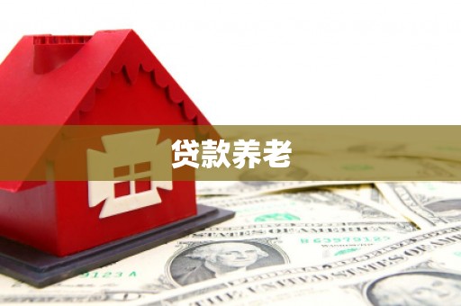 蒙阴贷款养老