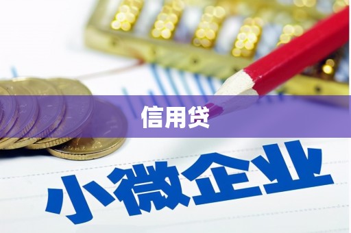 蒙阴信用贷