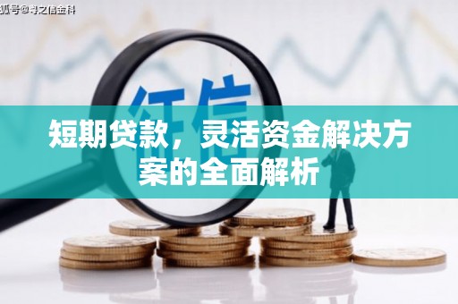 蒙阴短期贷款，灵活资金解决方案的全面解析