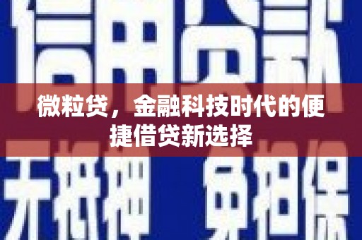 蒙阴微粒贷，金融科技时代的便捷借贷新选择