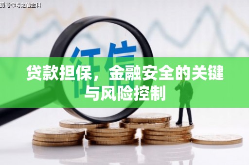 蒙阴贷款担保，金融安全的关键与风险控制