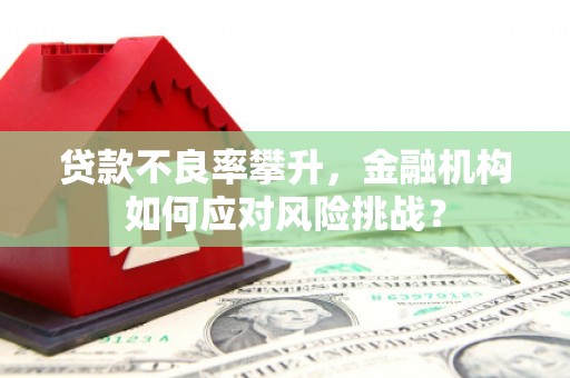 蒙阴贷款不良率攀升，金融机构如何应对风险挑战？