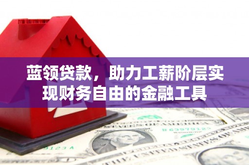 蒙阴蓝领贷款，助力工薪阶层实现财务自由的金融工具