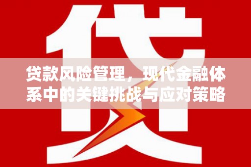 蒙阴贷款风险管理，现代金融体系中的关键挑战与应对策略