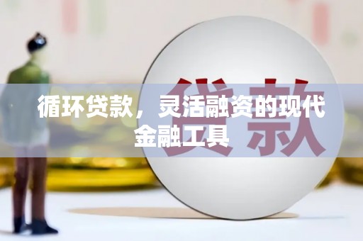 蒙阴循环贷款，灵活融资的现代金融工具