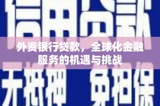 蒙阴外资银行贷款，全球化金融服务的机遇与挑战