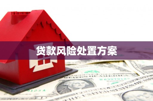 蒙阴贷款风险处置方案