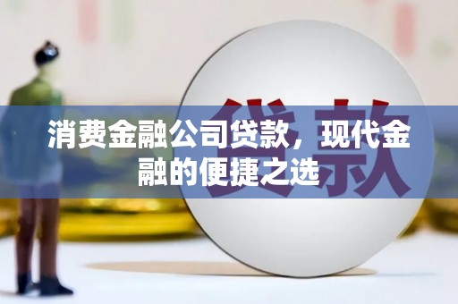 蒙阴消费金融公司贷款，现代金融的便捷之选