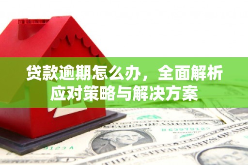 蒙阴贷款逾期怎么办，全面解析应对策略与解决方案