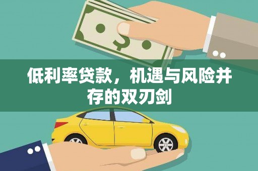 蒙阴低利率贷款，机遇与风险并存的双刃剑