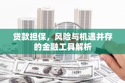 蒙阴贷款担保，风险与机遇并存的金融工具解析