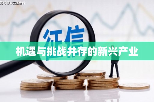 蒙阴机遇与挑战并存的新兴产业