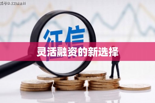 蒙阴灵活融资的新选择