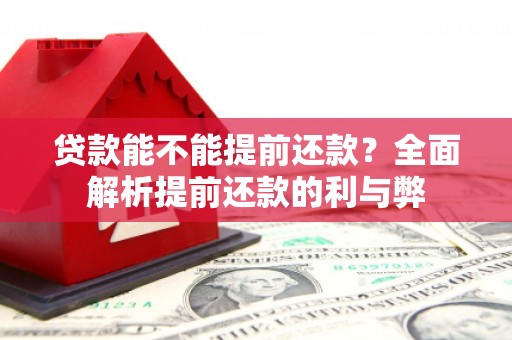 蒙阴贷款能不能提前还款？全面解析提前还款的利与弊