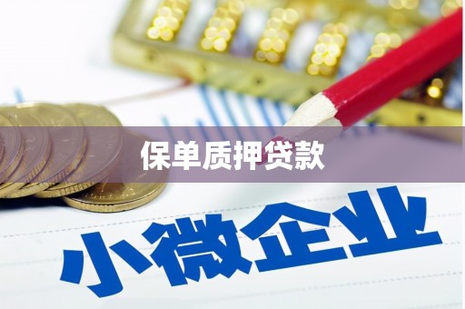 蒙阴保单质押贷款
