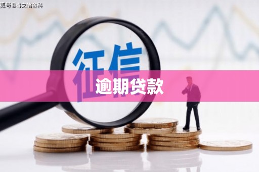 蒙阴逾期贷款