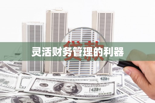 蒙阴灵活财务管理的利器