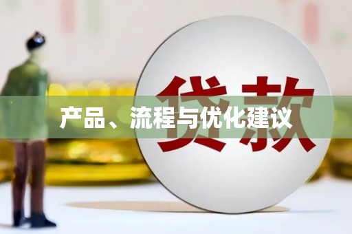 蒙阴产品、流程与优化建议