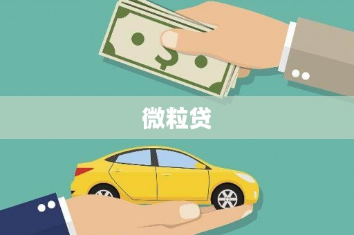 蒙阴微粒贷