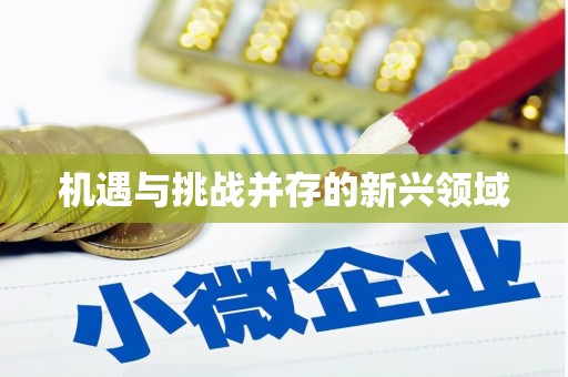 蒙阴机遇与挑战并存的新兴领域