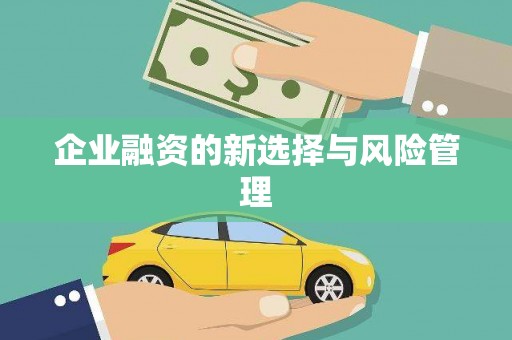 蒙阴企业融资的新选择与风险管理