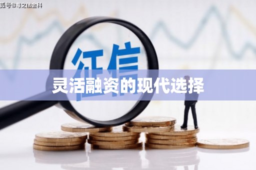 蒙阴灵活融资的现代选择
